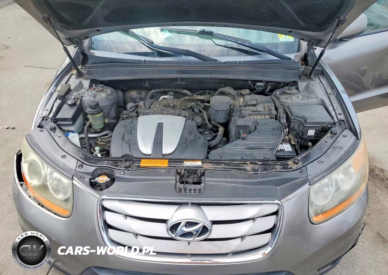 2011 Hyundai Santa Fe Se VIN:5XYZHDAG5BG061375 - 11