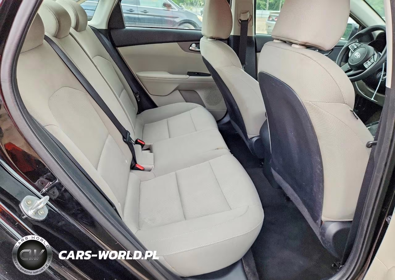 2020 Kia Forte Lxs VIN:3KPF24AD4LE163355 - 10