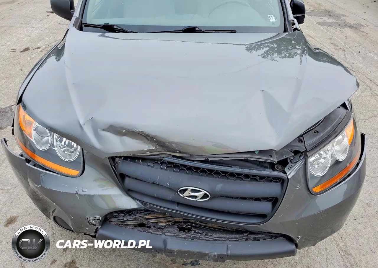 2009 Hyundai Santa Fe Gls VIN:5NMSG73D59H319967 - 12