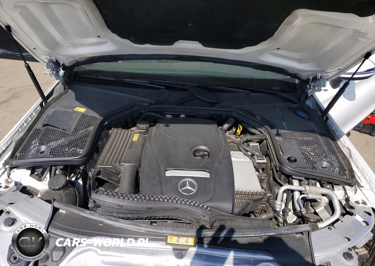 2017 Mercedes-Benz C 300 VIN:WDDWJ4JBXHF367484 - 11