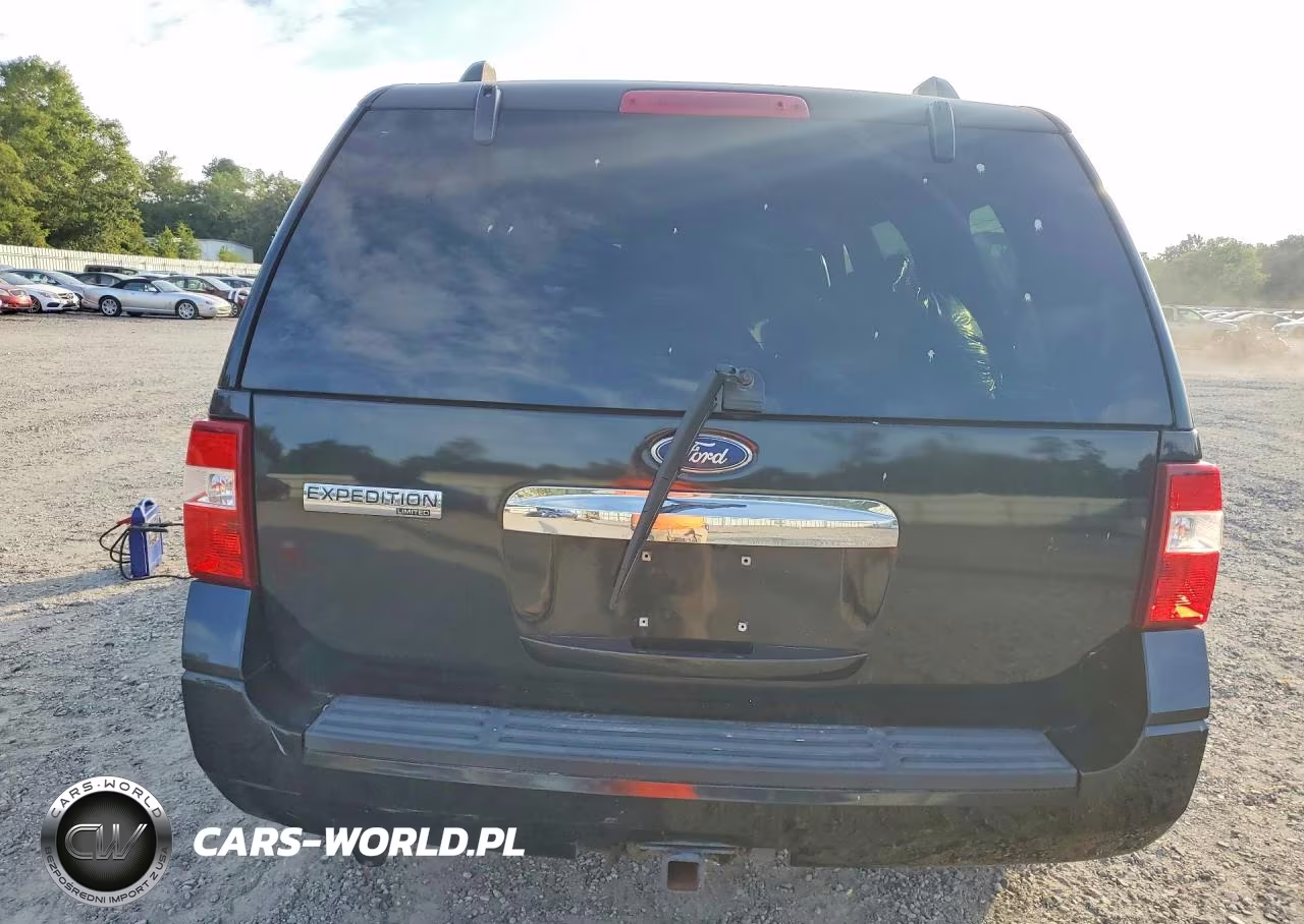 2010 Ford Expedition Limited VIN:1FMJU2A57AEB71469 - 6