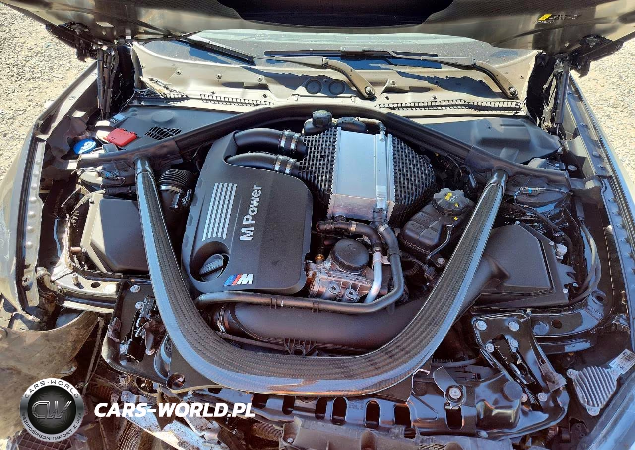 2020 BMW M2 Cs VIN:WBS1J3C04L7H52385 - 11