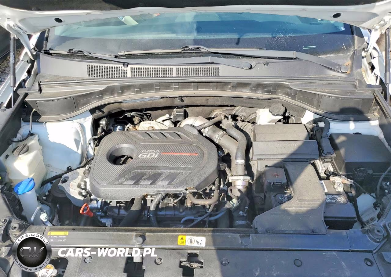 2017 Hyundai Santa Fe Sport 2.0T Ultimate VIN:5NMZW4LA2HH044384 - 12