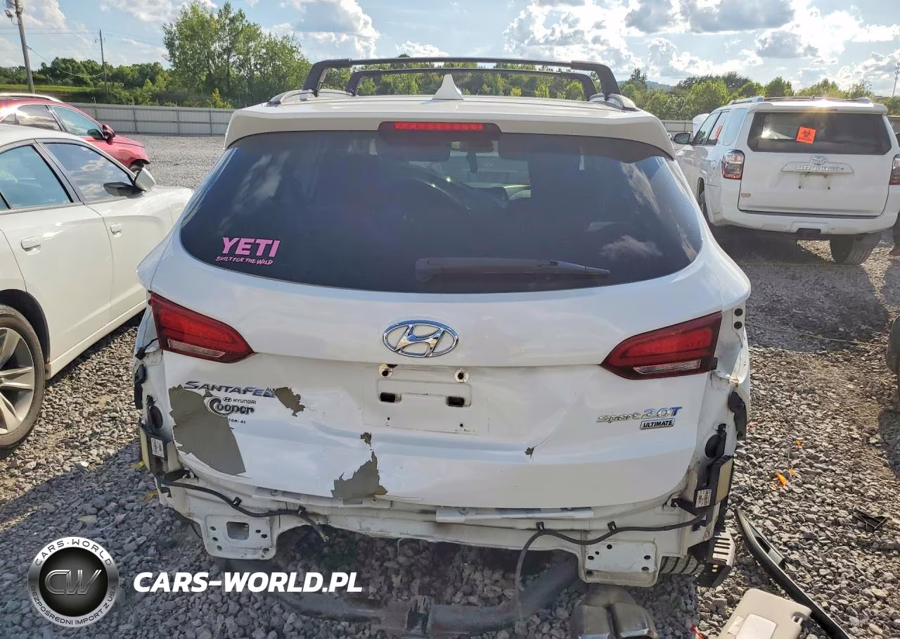 2017 Hyundai Santa Fe Sport 2.0T Ultimate VIN:5NMZW4LA2HH044384 - 6