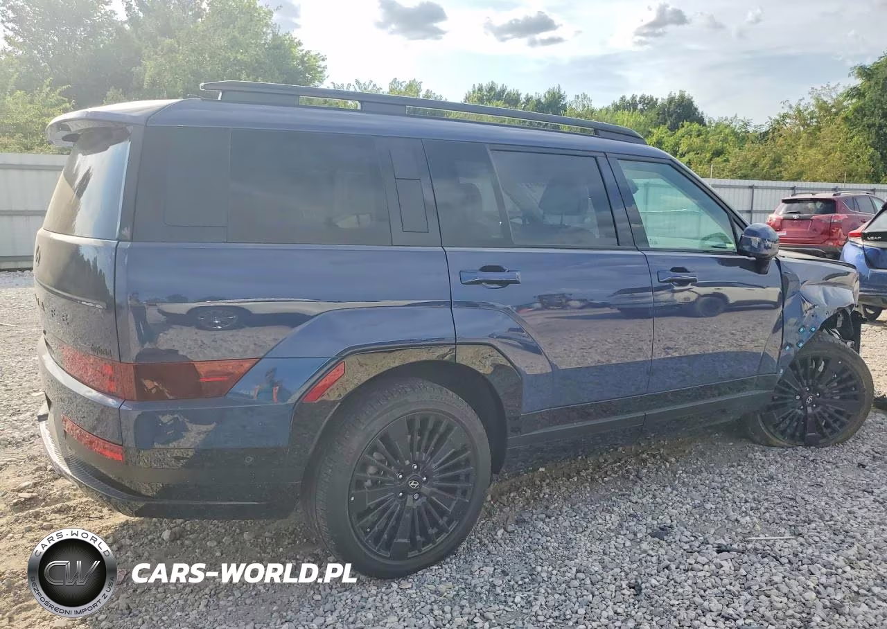 2025 Hyundai Santa Fe Calligraphy VIN:5NMP5DG1XSH039459 - 3