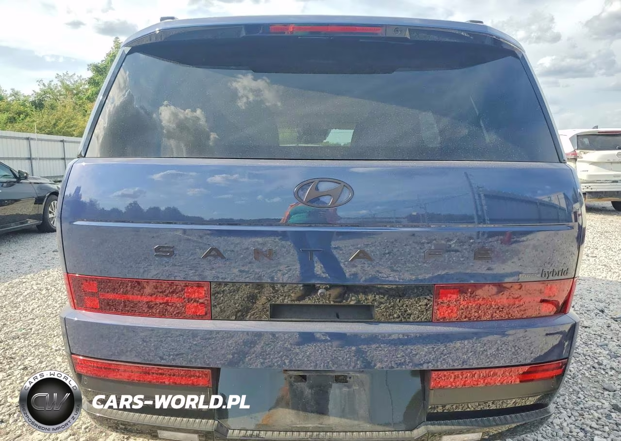 2025 Hyundai Santa Fe Calligraphy VIN:5NMP5DG1XSH039459 - 6