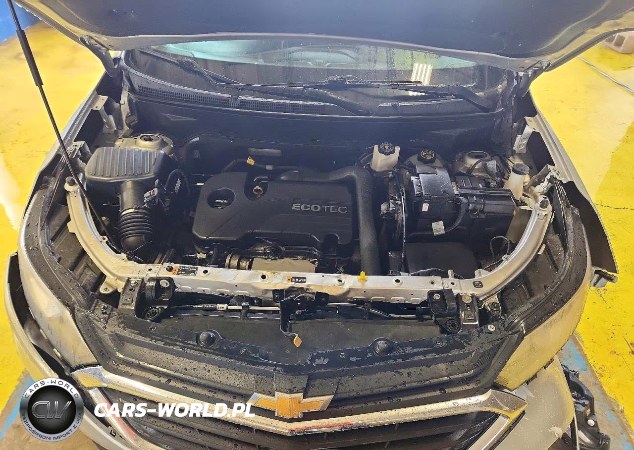 2019 Chevrolet Equinox Ls VIN:3GNAXSEVXKS579355 - 12