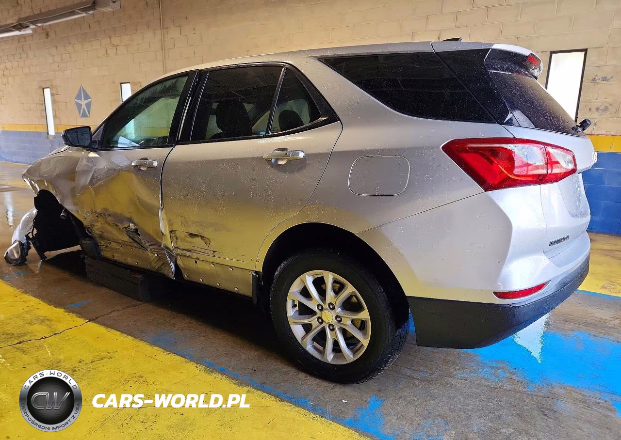2019 Chevrolet Equinox Ls VIN:3GNAXSEVXKS579355 - 2
