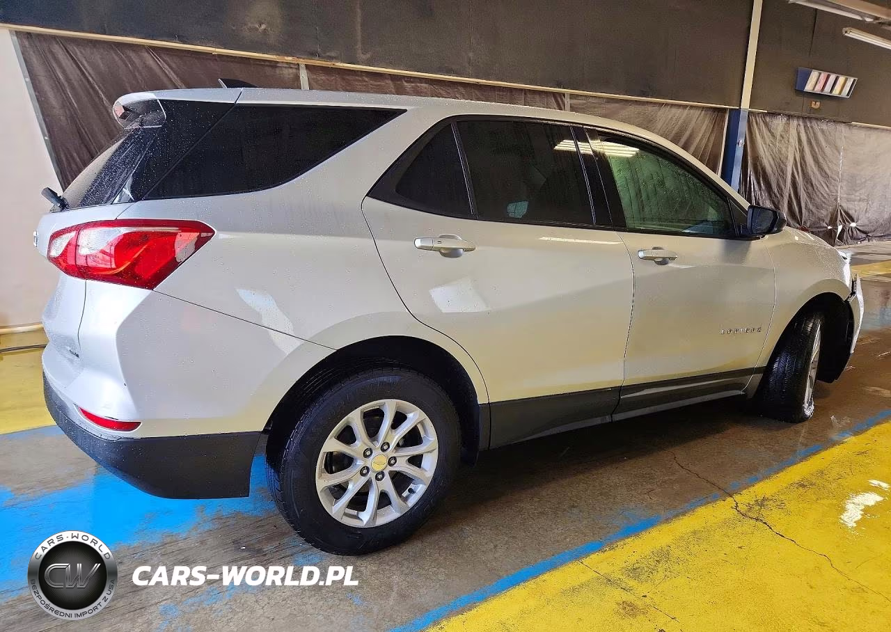 2019 Chevrolet Equinox Ls VIN:3GNAXSEVXKS579355 - 3
