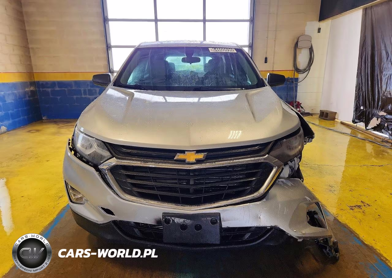 2019 Chevrolet Equinox Ls VIN:3GNAXSEVXKS579355 - 5