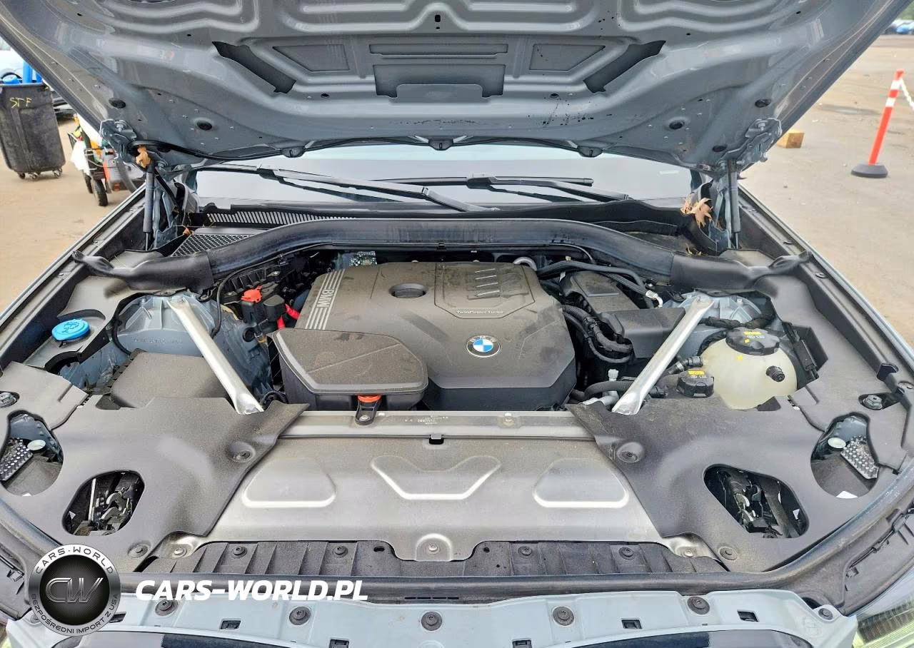 2023 BMW X3 xDrive30I VIN:5UX53DP07P9P42104 - 12