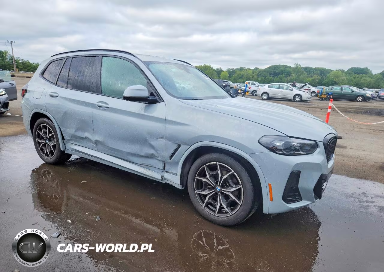 2023 BMW X3 xDrive30I VIN:5UX53DP07P9P42104 - 4