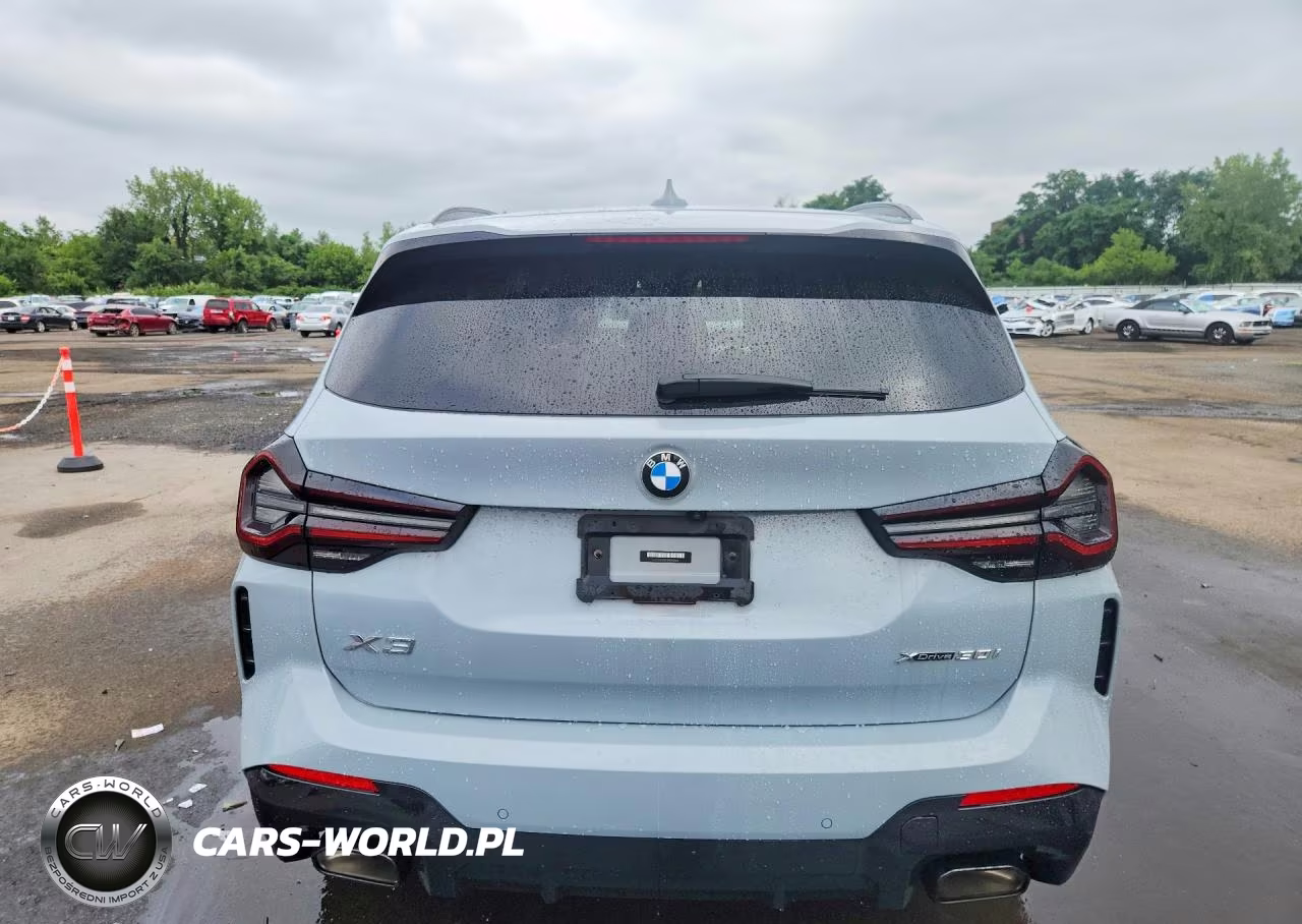 2023 BMW X3 xDrive30I VIN:5UX53DP07P9P42104 - 6