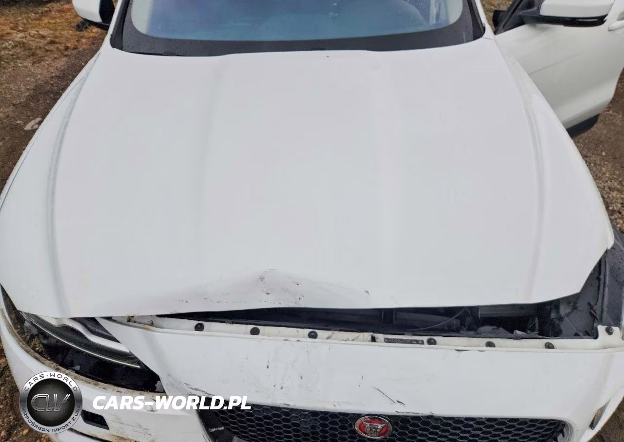 2018 Jaguar F-Pace Prestige VIN:SADCK2FX8JA321937 - 12