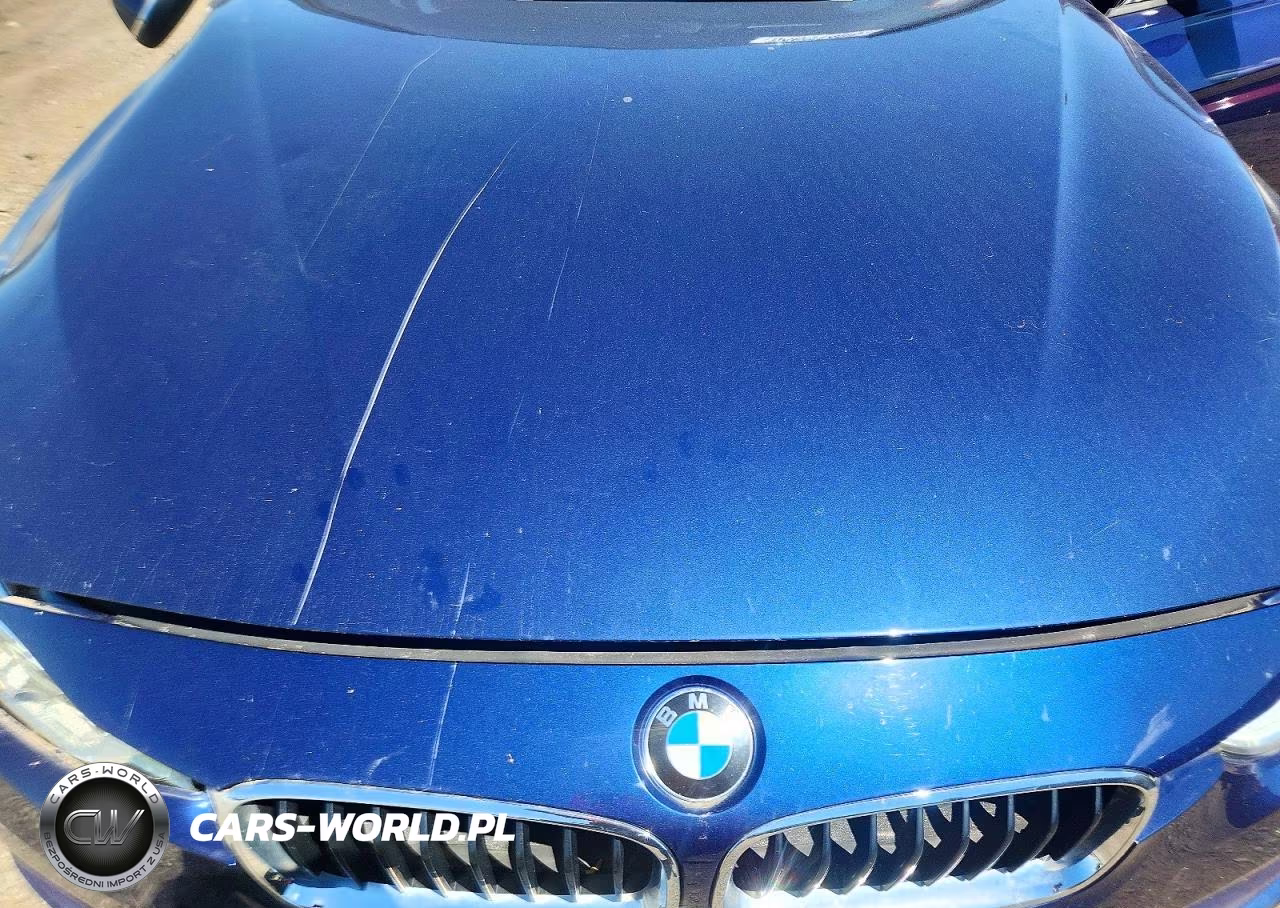 2016 BMW 328 Xi Sulev VIN:WBA8E3C54GK501546 - 11