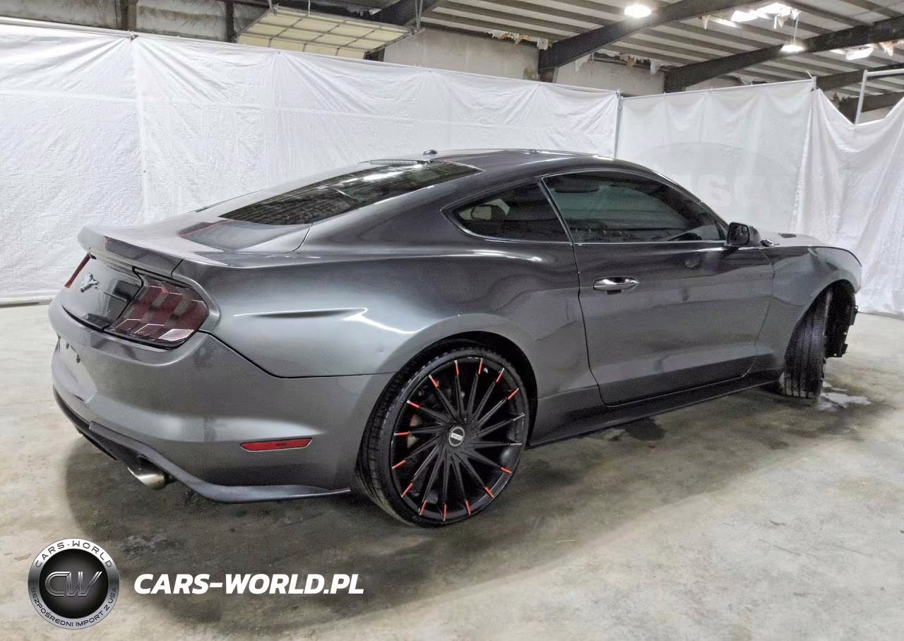 2019 Ford Mustang VIN:1FA6P8THXK5184378 - 3