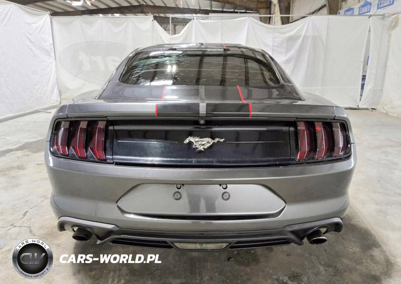 2019 Ford Mustang VIN:1FA6P8THXK5184378 - 6