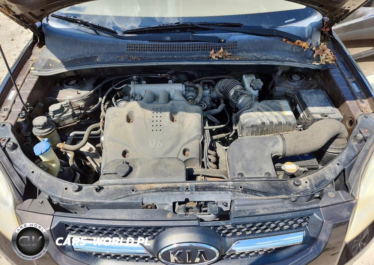 2010 Kia Sportage Lx VIN:KNDKGCA38A7669074 - 12