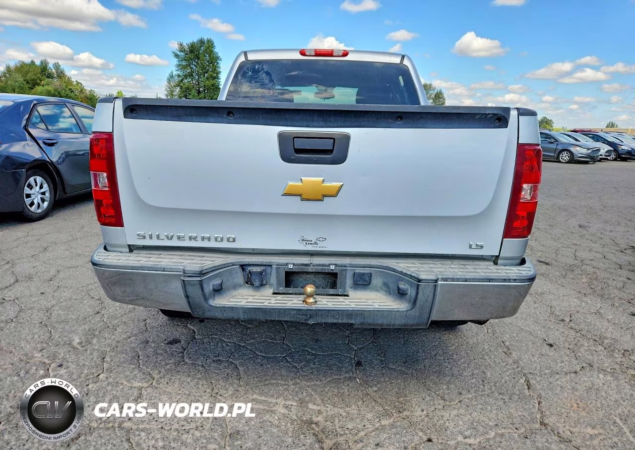 2013 Chevrolet Silverado C1500 Ls VIN:3GCPCREA6DG185748 - 6