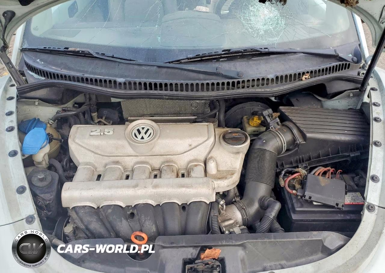 2006 Volkswagen New Beetle Convertible Option Package 1 VIN:3VWRF31Y36M307354 - 12