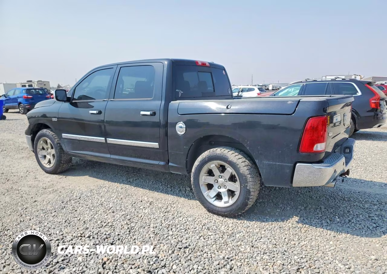 2009 Dodge Ram 1500 VIN:1D3HV13T99J519921 - 2