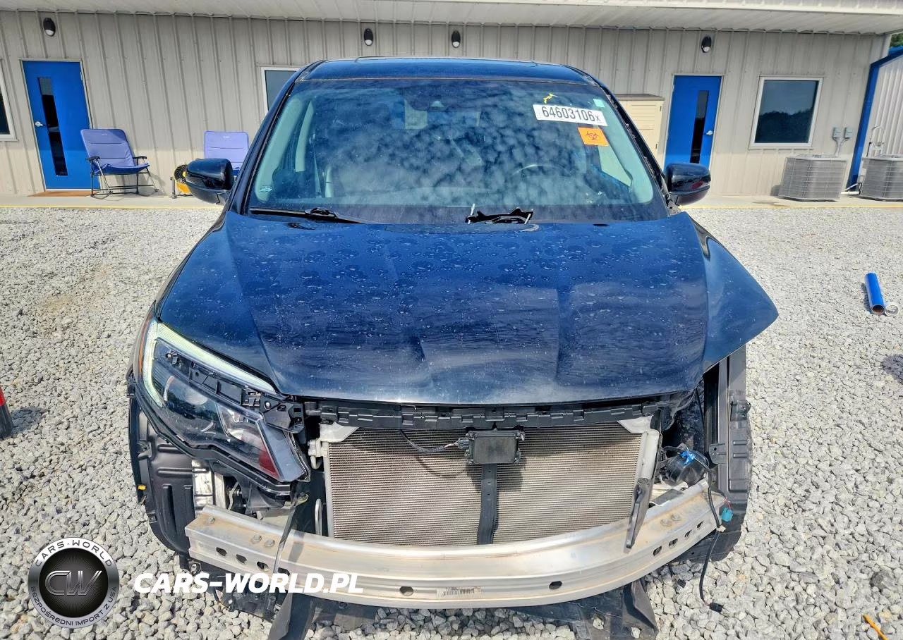2019 Honda Pilot Exl VIN:5FNYF5H53KB025168 - 5