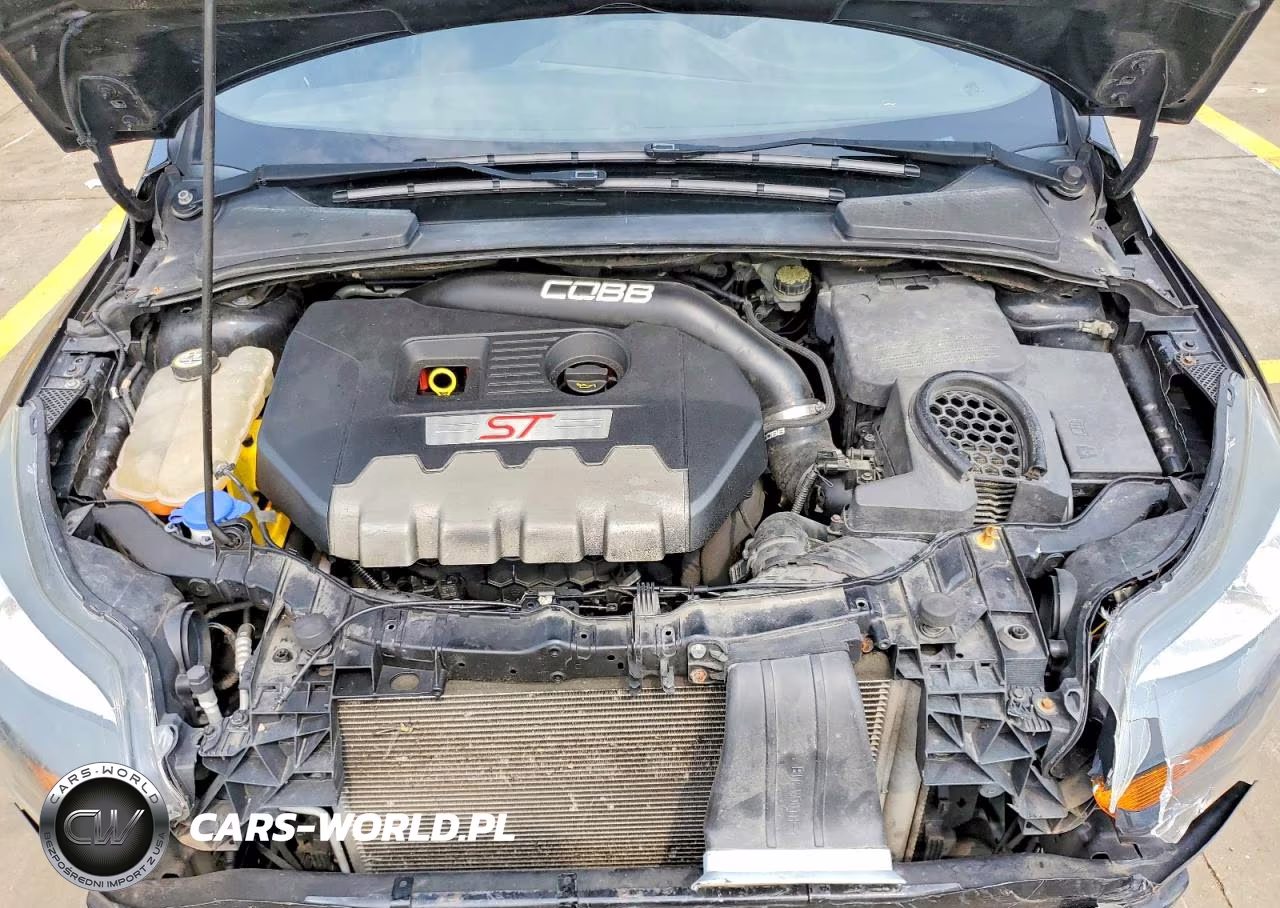 2013 Ford Focus St VIN:1FADP3L97DL201901 - 11