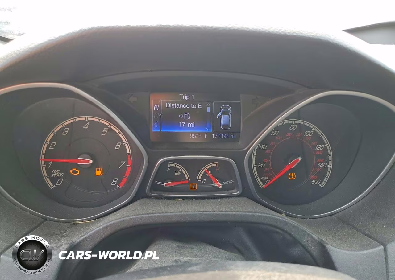 2013 Ford Focus St VIN:1FADP3L97DL201901 - 9