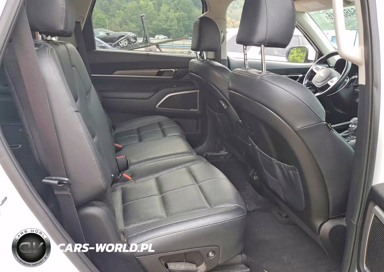 2020 Kia Telluride Ex VIN:5XYP3DHC5LG025700 - 11