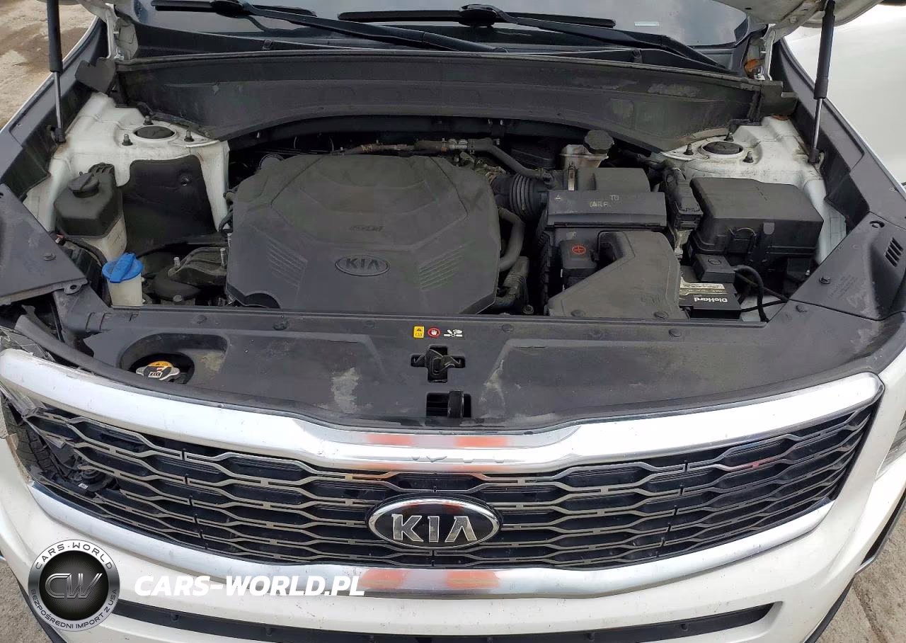 2020 Kia Telluride Ex VIN:5XYP3DHC5LG025700 - 12