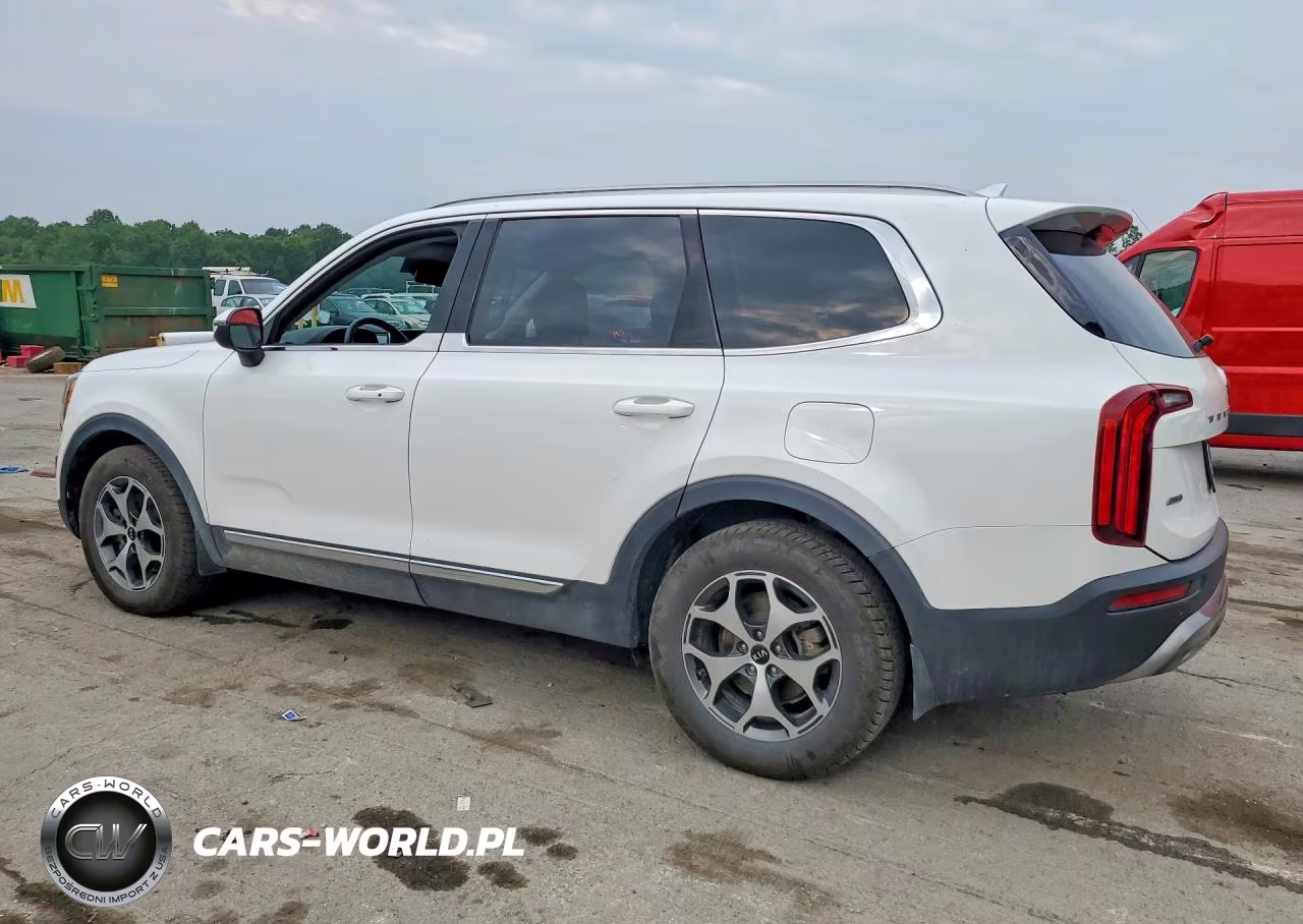 2020 Kia Telluride Ex VIN:5XYP3DHC5LG025700 - 2