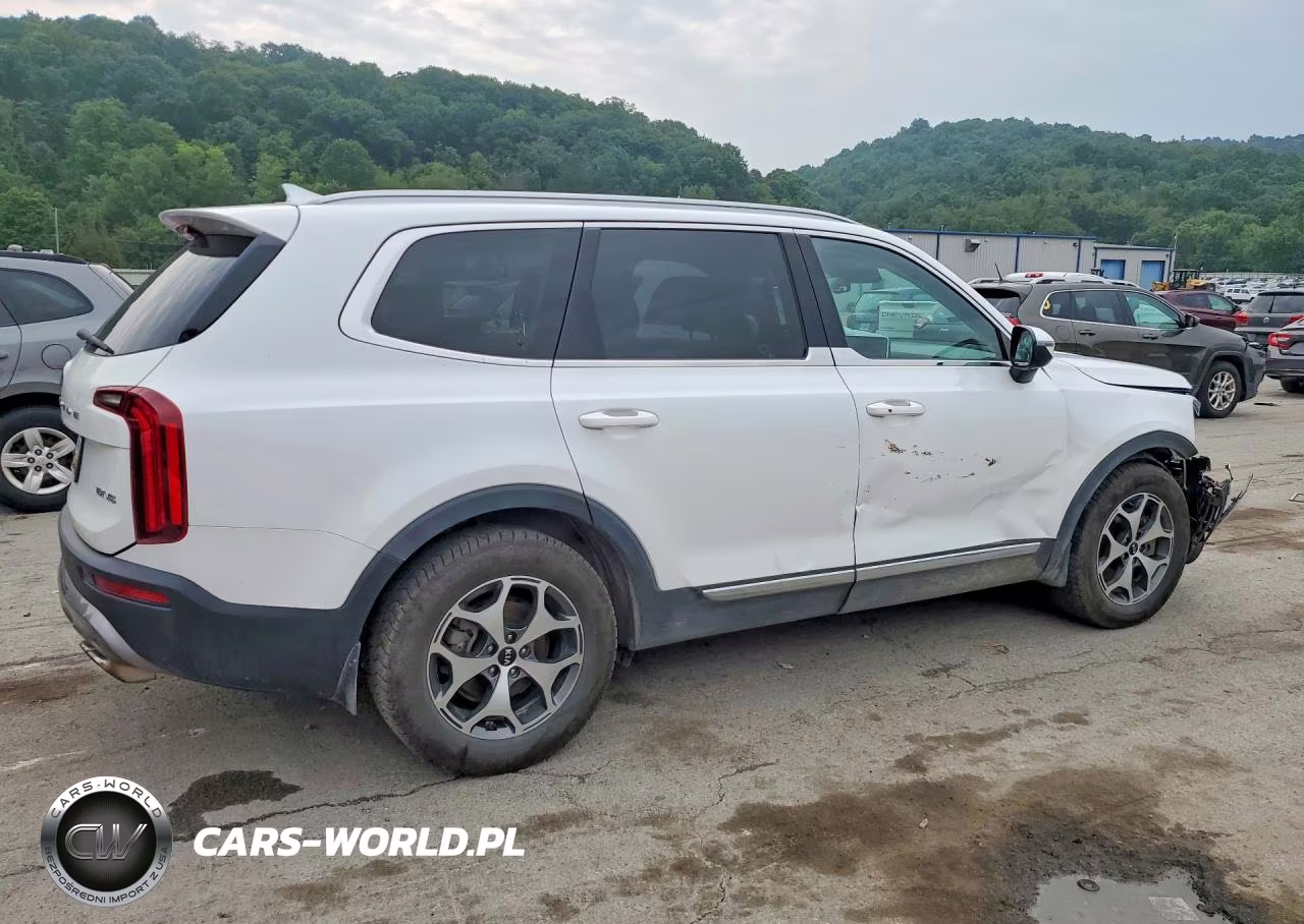 2020 Kia Telluride Ex VIN:5XYP3DHC5LG025700 - 3