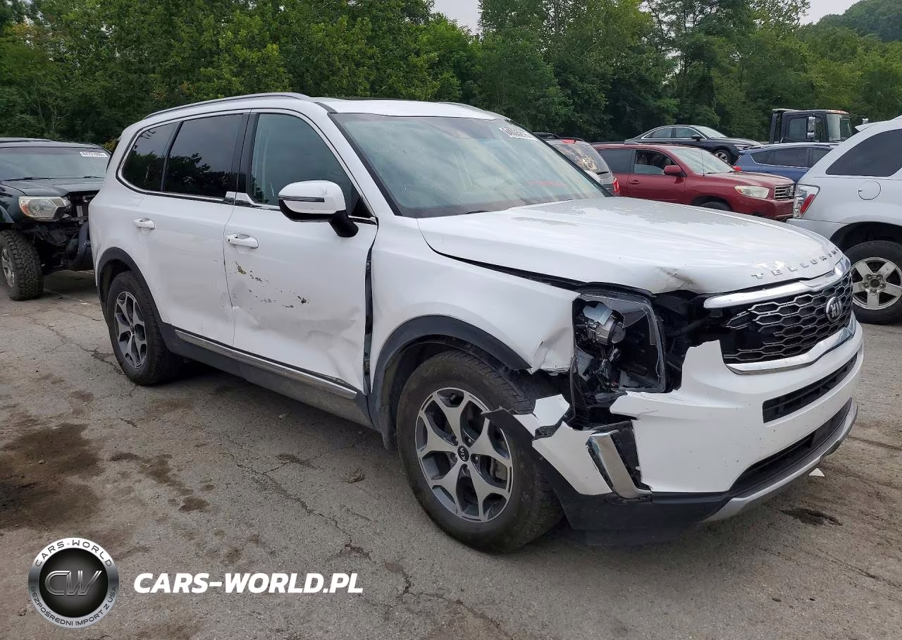 2020 Kia Telluride Ex VIN:5XYP3DHC5LG025700 - 4