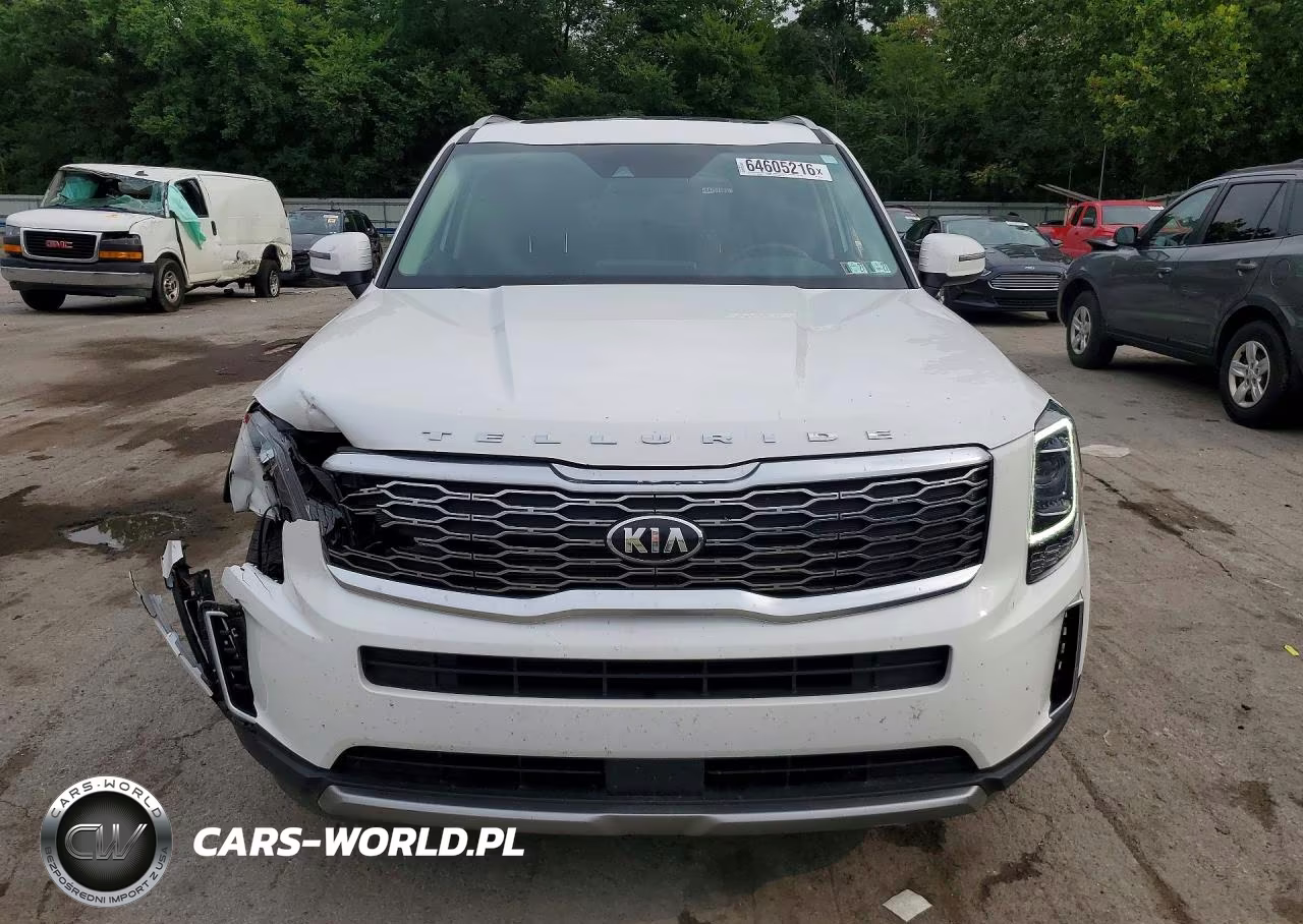 2020 Kia Telluride Ex VIN:5XYP3DHC5LG025700 - 5