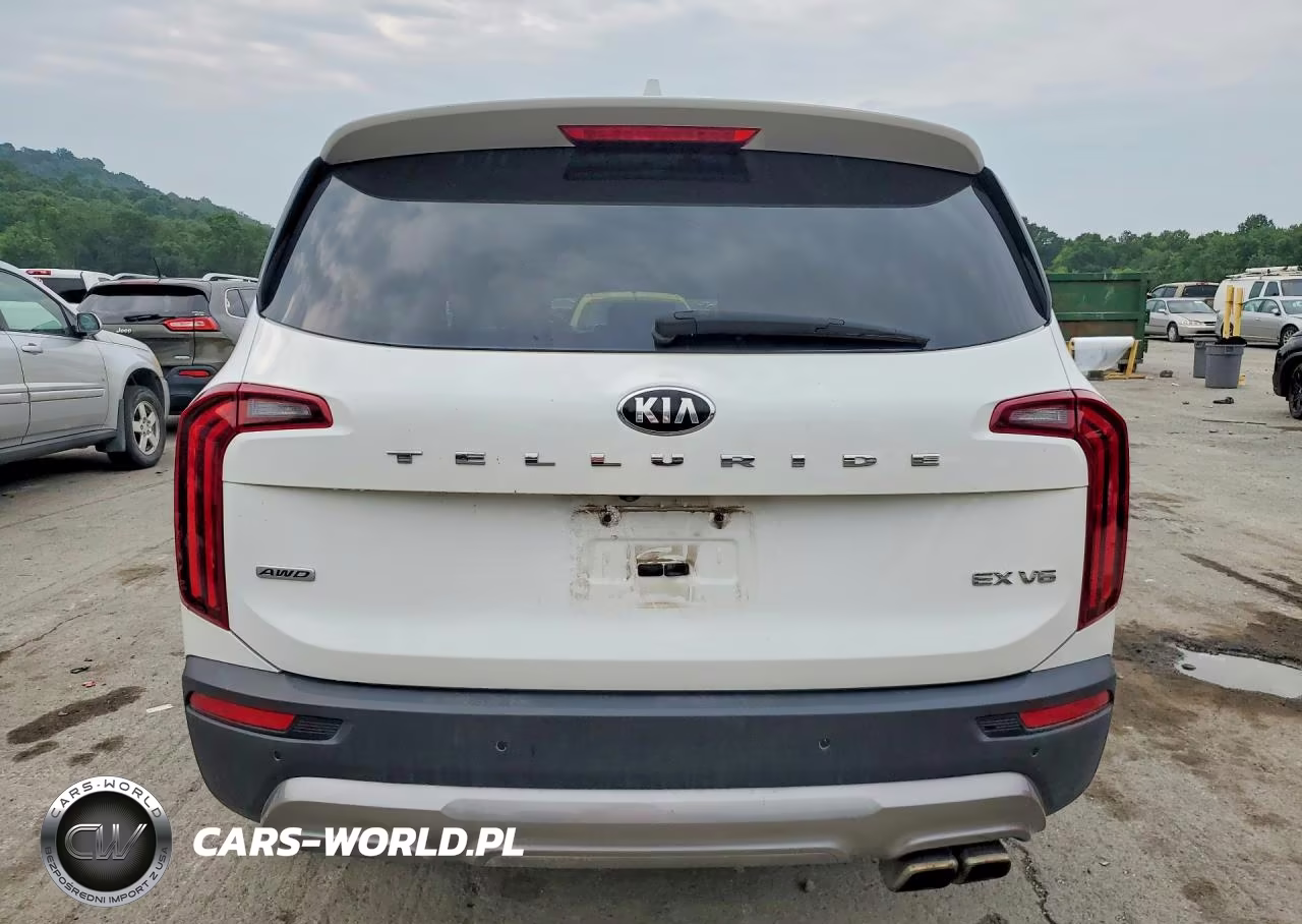 2020 Kia Telluride Ex VIN:5XYP3DHC5LG025700 - 6