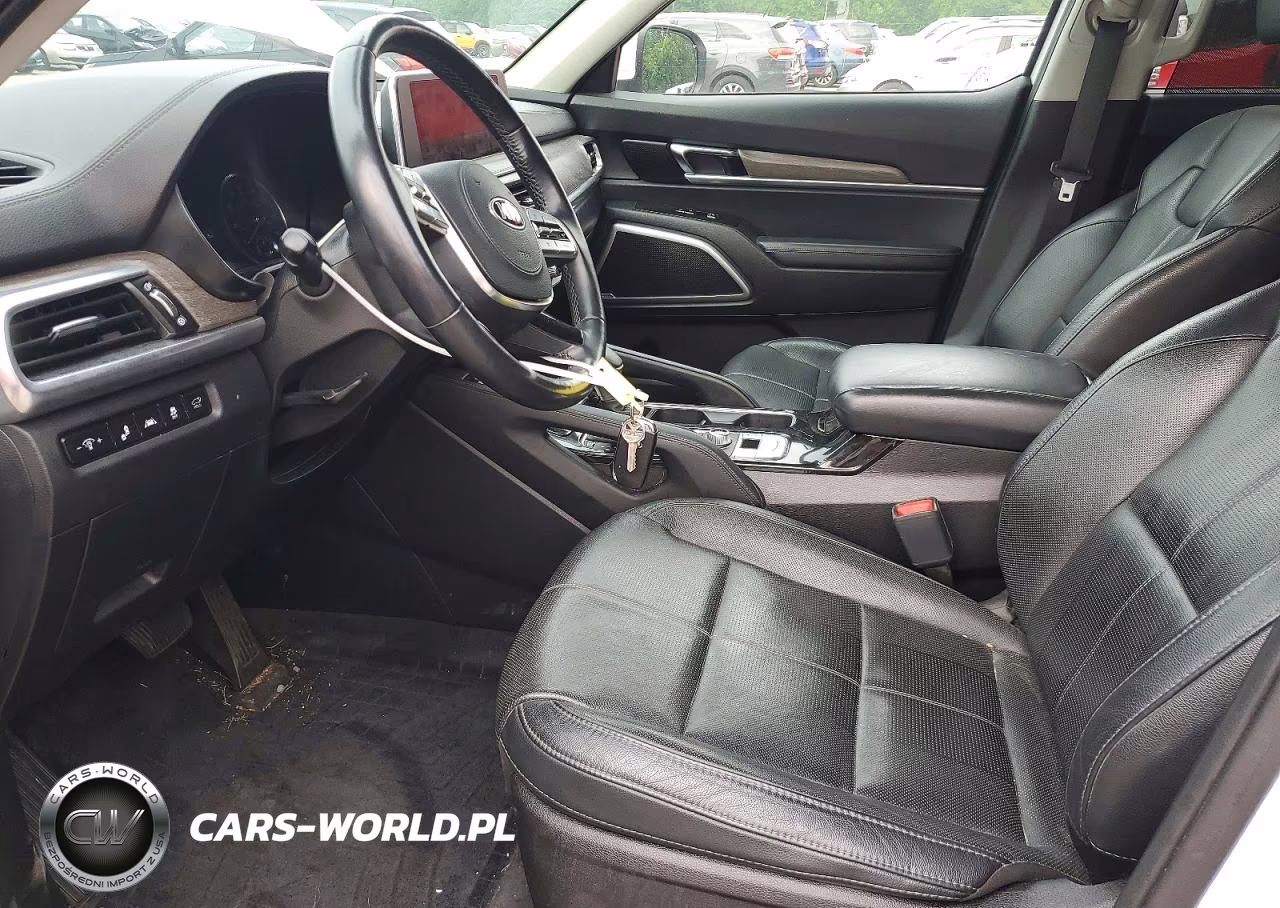 2020 Kia Telluride Ex VIN:5XYP3DHC5LG025700 - 7