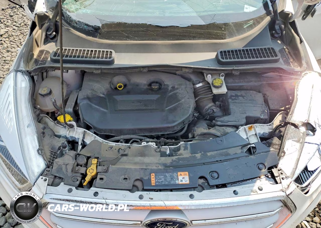 2019 Ford Escape Titanium VIN:1FMCU9J97KUA55507 - 12