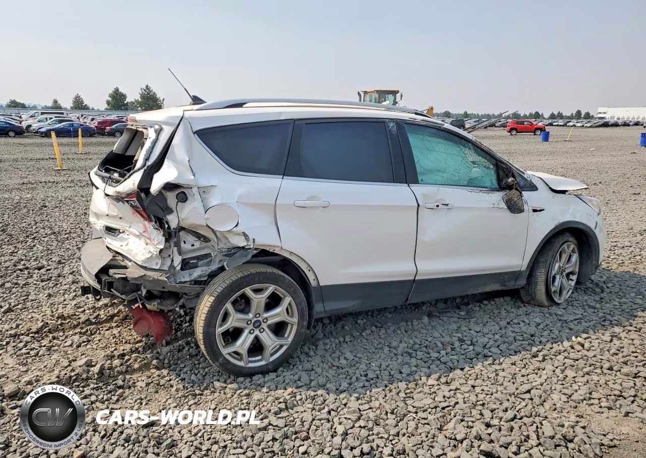 2019 Ford Escape Titanium VIN:1FMCU9J97KUA55507 - 3