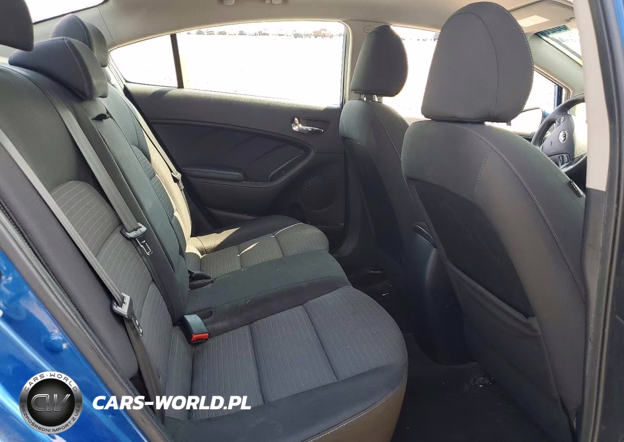 2015 Kia Forte Lx VIN:KNAFX4A67F5325057 - 10