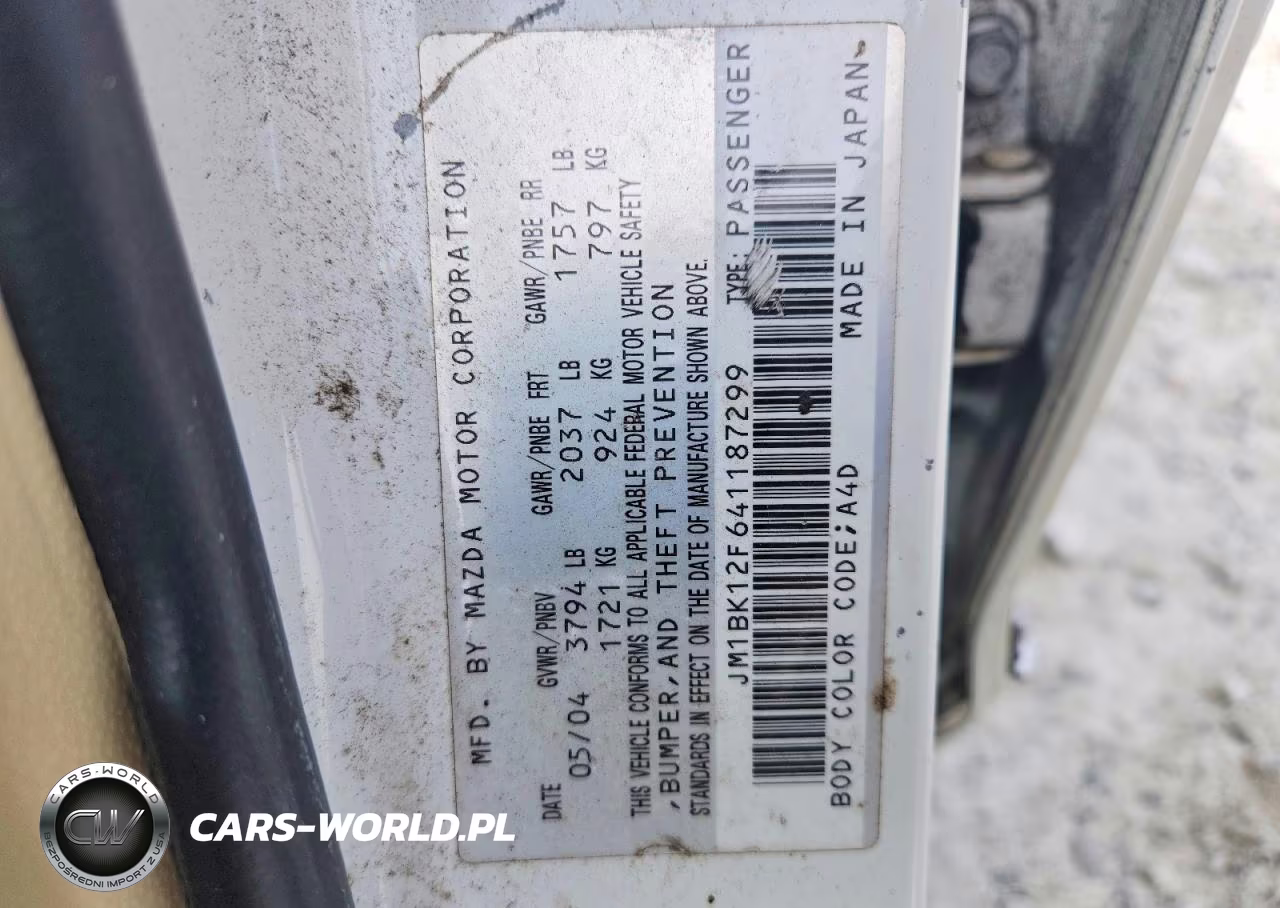 2004 Mazda 3 I VIN:JM1BK12F641187299 - 12