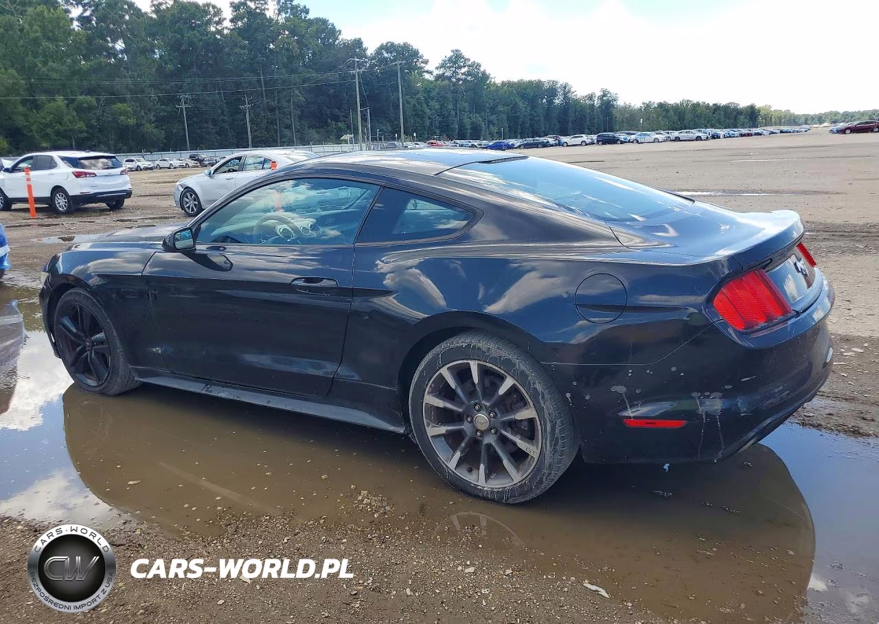 2015 Ford Mustang VIN:1FA6P8TH5F5366978 - 2