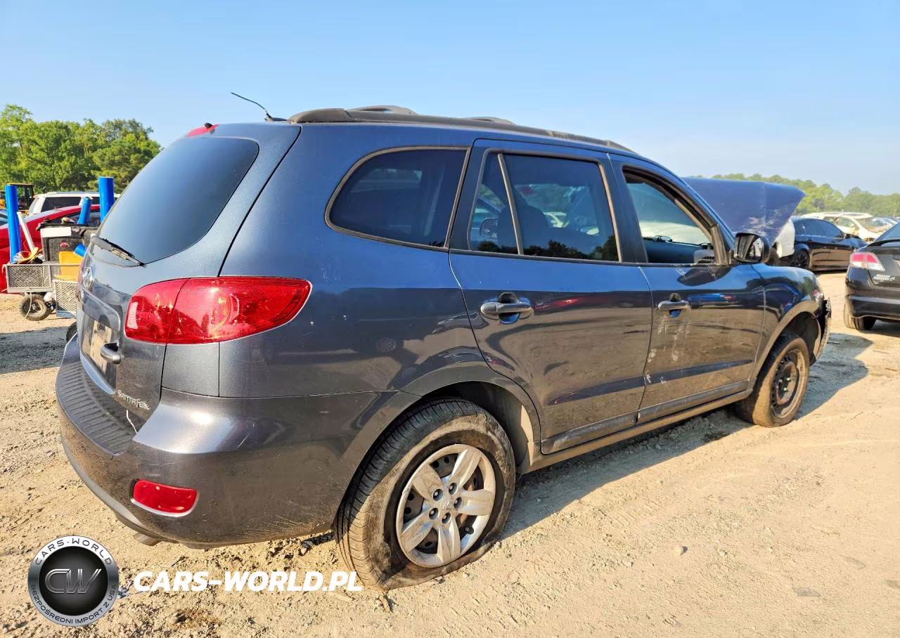 2009 Hyundai Santa Fe Gls VIN:5NMSG13D09H250425 - 3