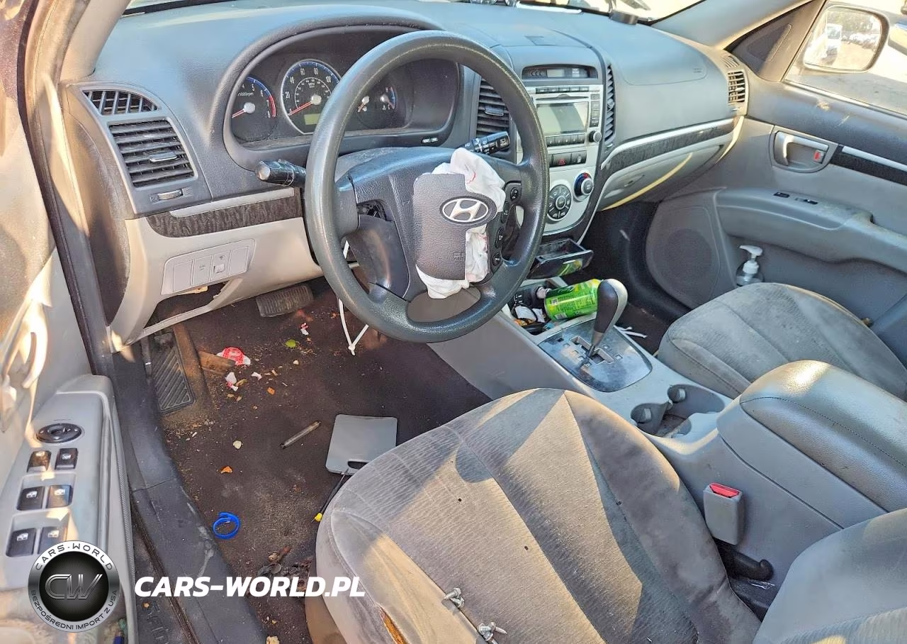 2009 Hyundai Santa Fe Gls VIN:5NMSG13D09H250425 - 8