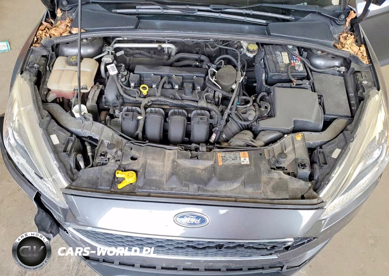 2016 Ford Focus Se VIN:1FADP3K23GL212726 - 11