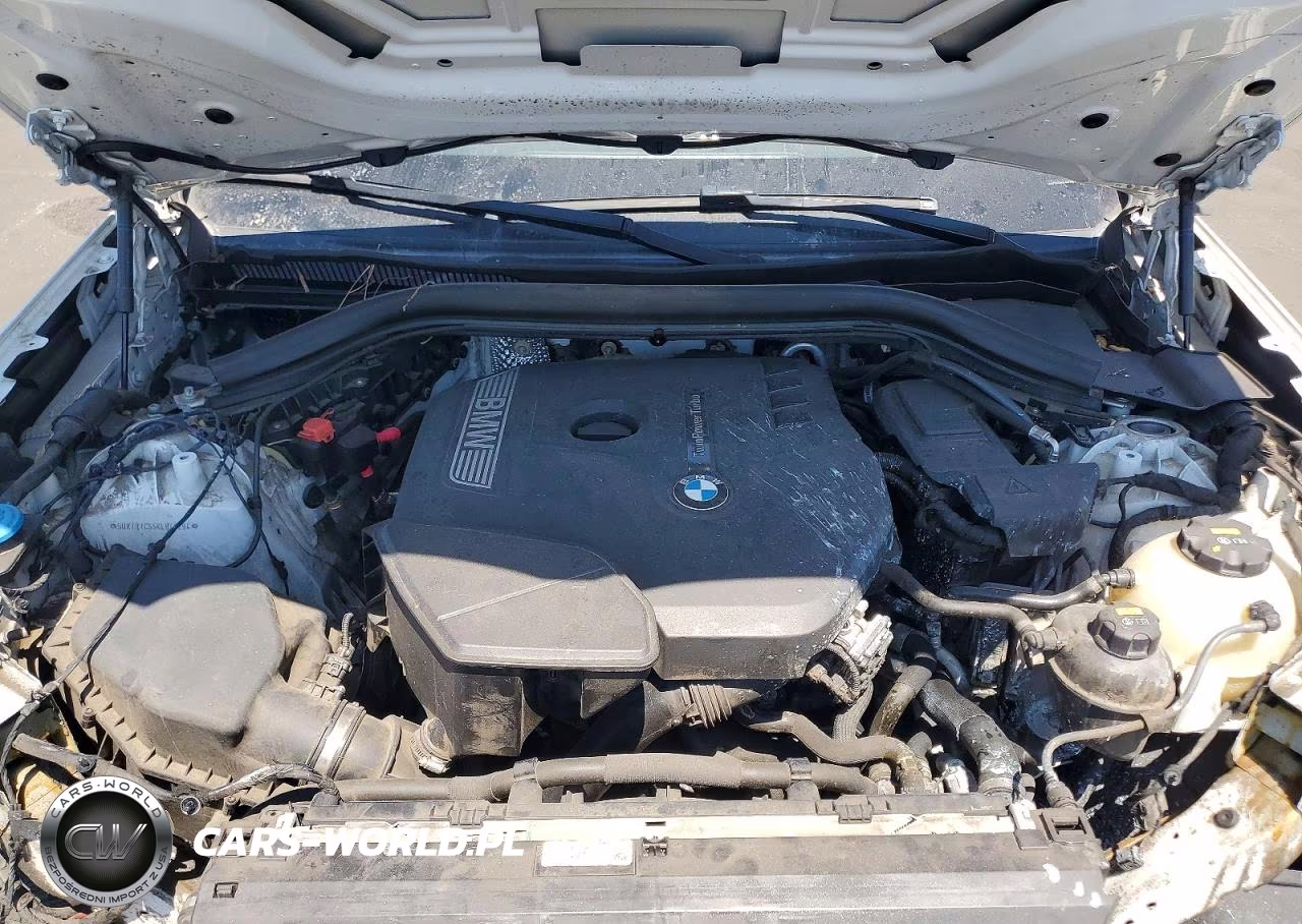 2019 BMW X3 Sdrive30I VIN:5UXTR7C55KLR47294 - 12