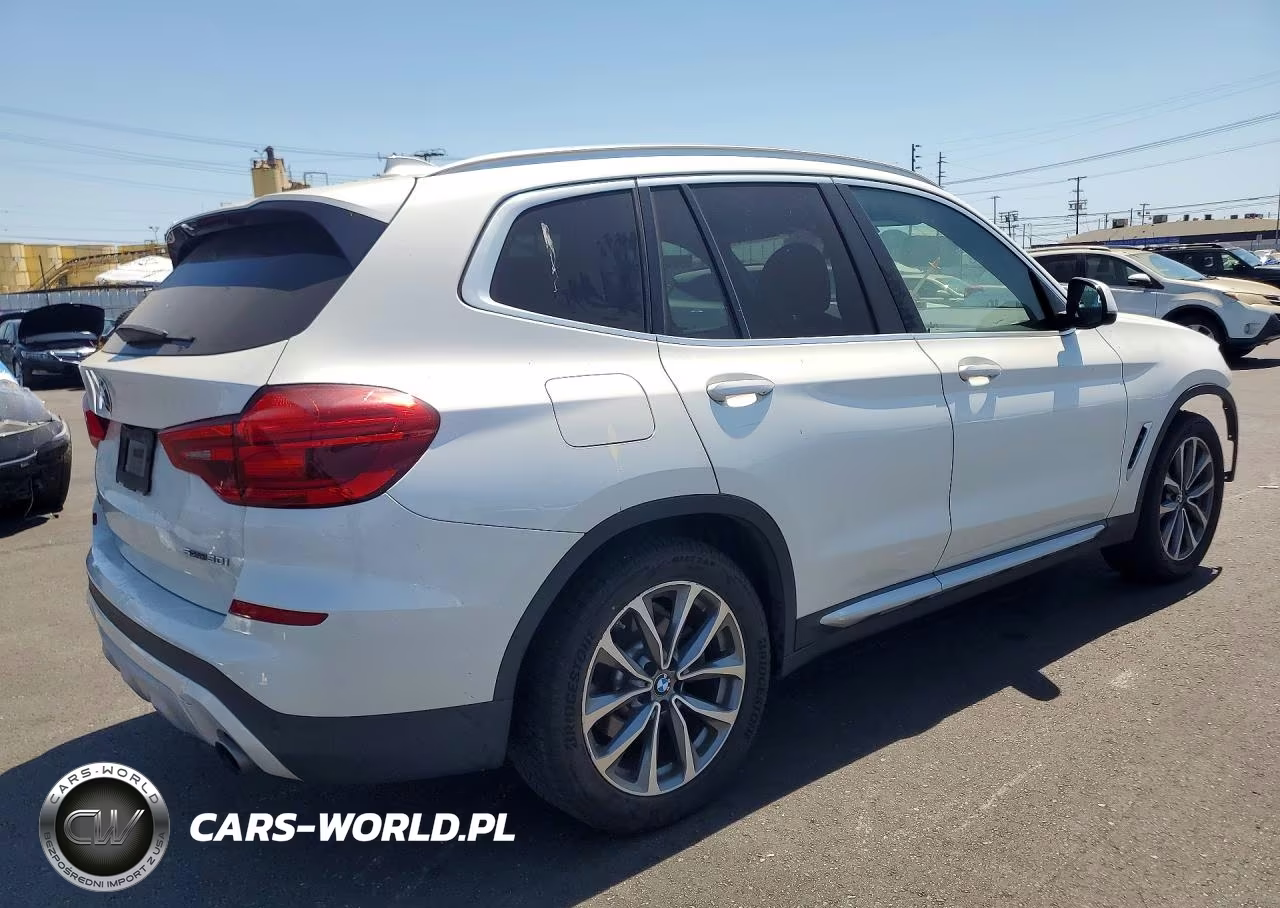 2019 BMW X3 Sdrive30I VIN:5UXTR7C55KLR47294 - 3