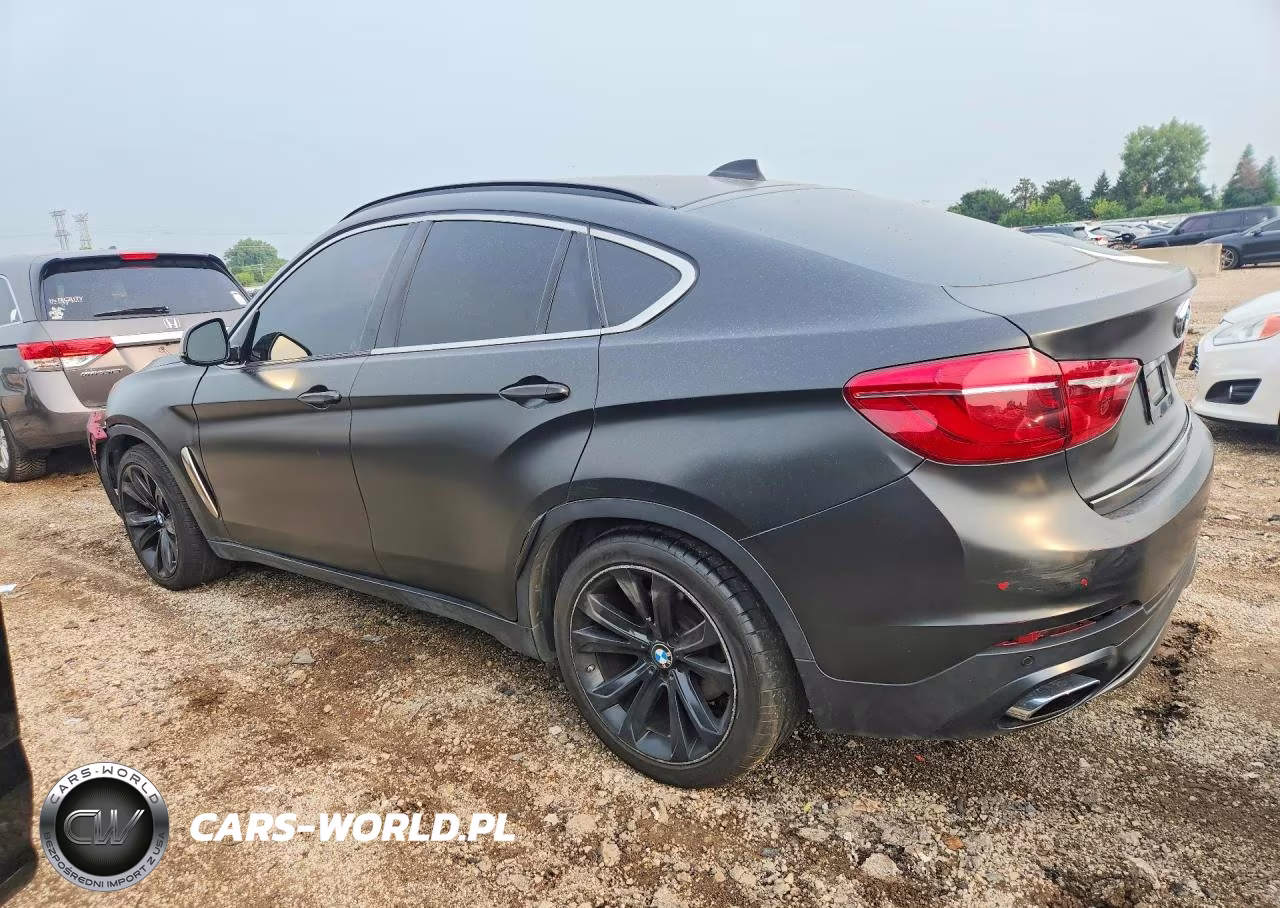 2019 BMW X6 xDrive50I VIN:5UXKU6C5XK0Z66901 - 2