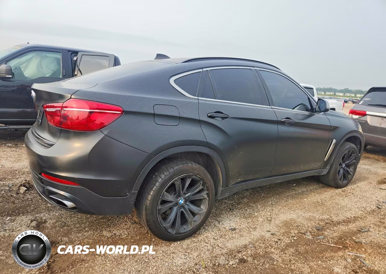 2019 BMW X6 xDrive50I VIN:5UXKU6C5XK0Z66901 - 3