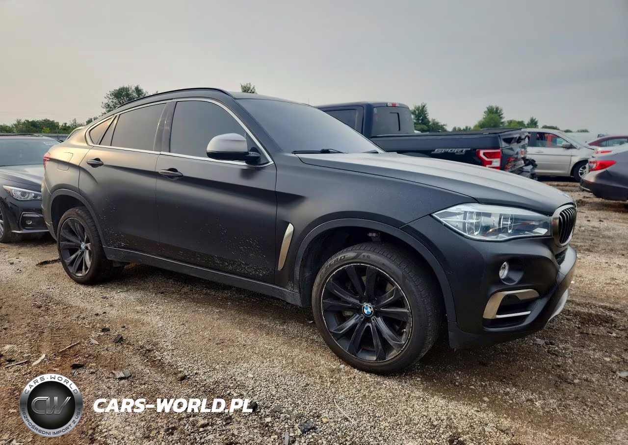 2019 BMW X6 xDrive50I VIN:5UXKU6C5XK0Z66901 - 4