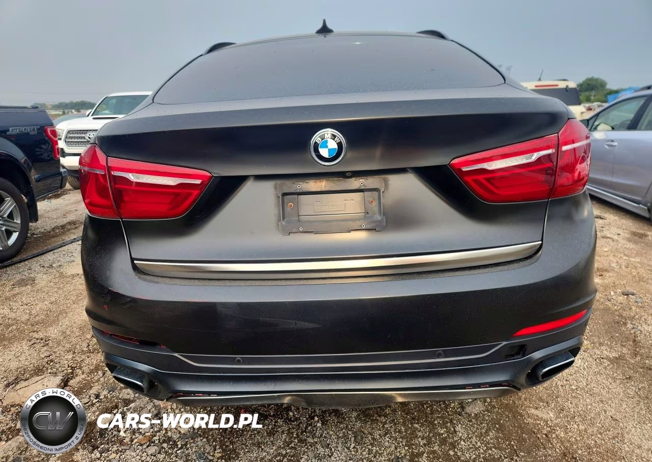 2019 BMW X6 xDrive50I VIN:5UXKU6C5XK0Z66901 - 6